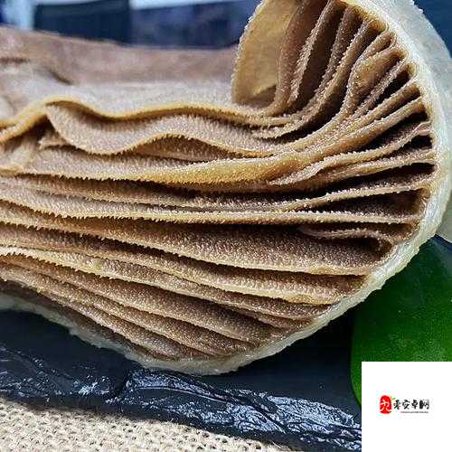 鸣沙客栈牛百叶获取绝密技巧！3分钟教你拿满限定食材